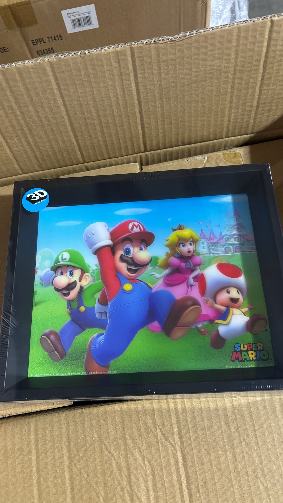 12x 3d Super Mario Bilder